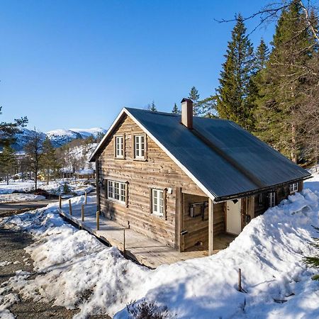 Вілла Norgesferie I Sirdal Sinnes Екстер'єр фото