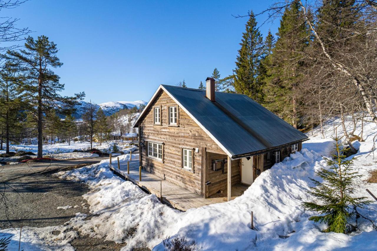 Вілла Norgesferie I Sirdal Sinnes Екстер'єр фото
